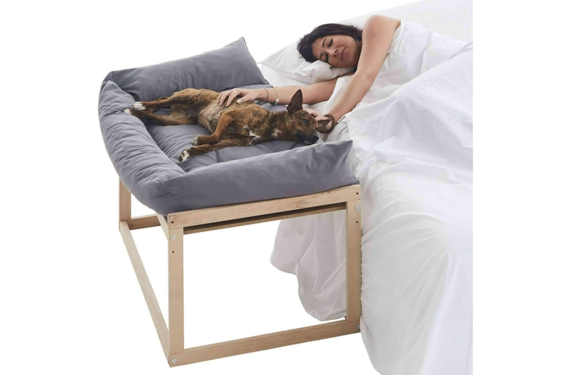 Cool-Dreams y sus camas colecho para perros