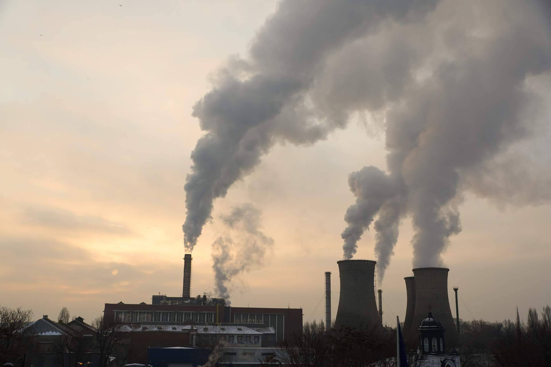 Compensar la huella de carbono con ClimateTrade