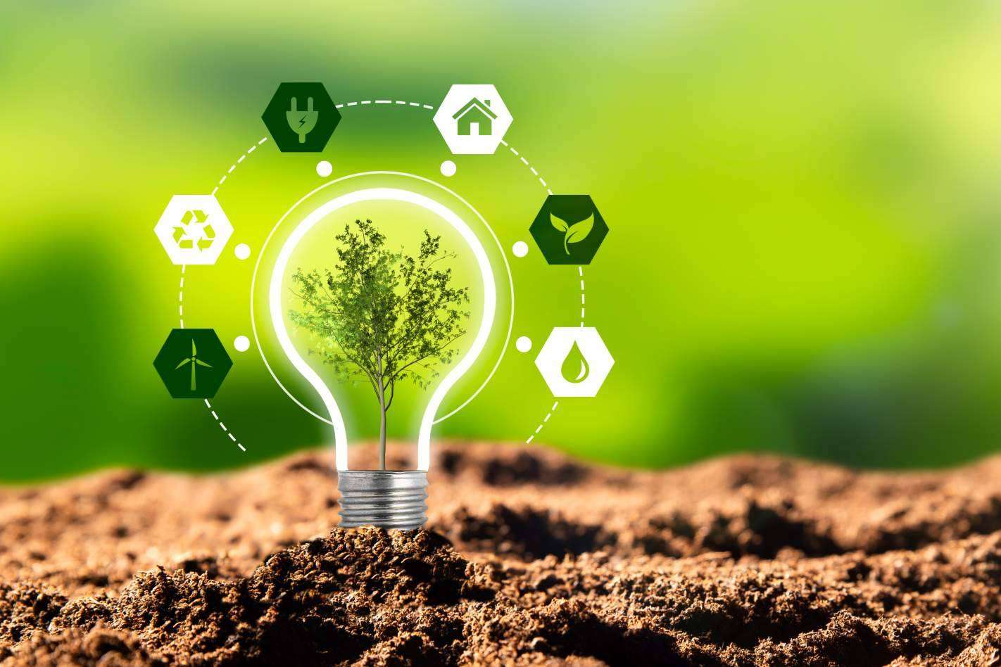 ¿Cómo elegir tarifas de luz y gas competitivas para el hogar y pequeños negocios?