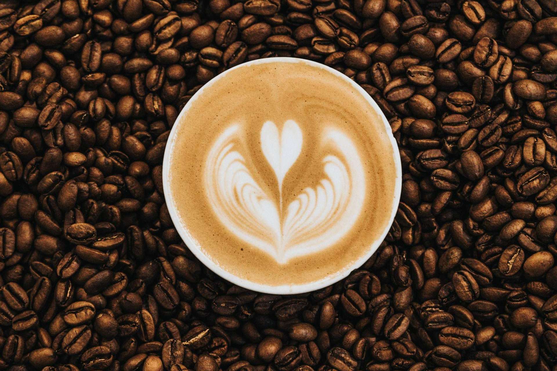 La experiencia sensitiva única que ofrece Cafés Legend gracias a la receta secreta de su café molido