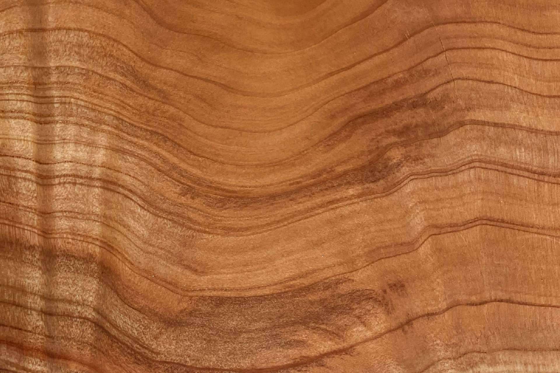 La mejor madera para los muebles, según Maderas Gámez