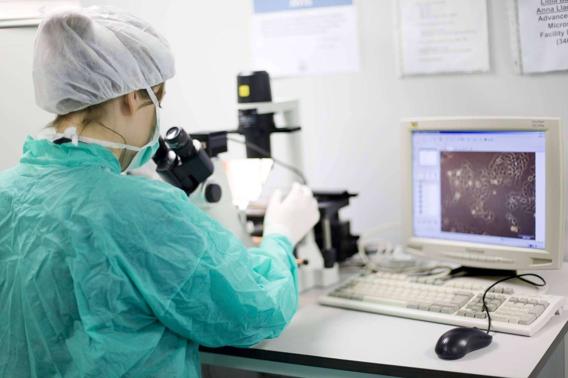 Lo último en biotecnología para diseñar productos de cuidado facial, por el laboratorio ENDOR