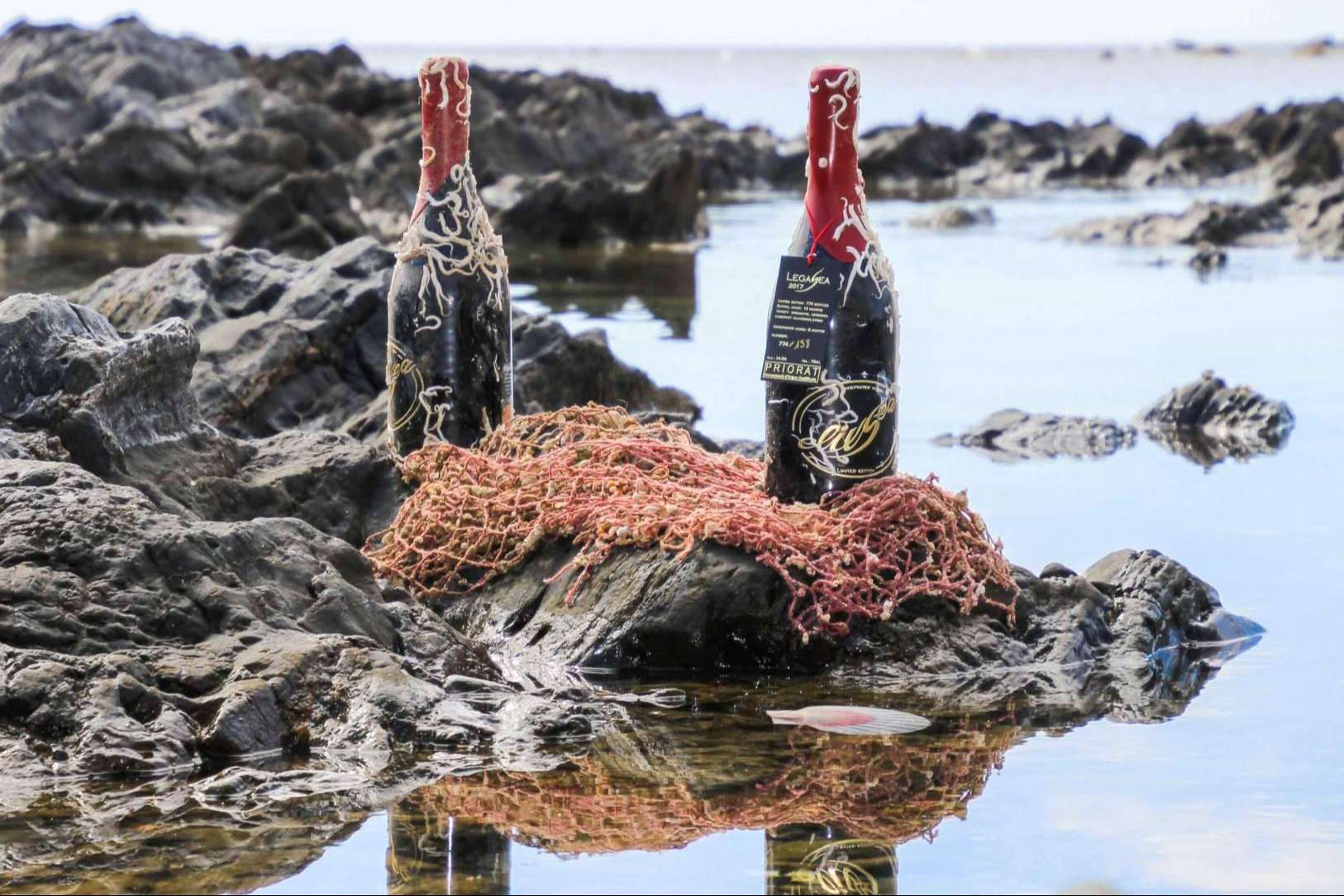Vinos únicos con el poder de la enología marina, con ElixSea