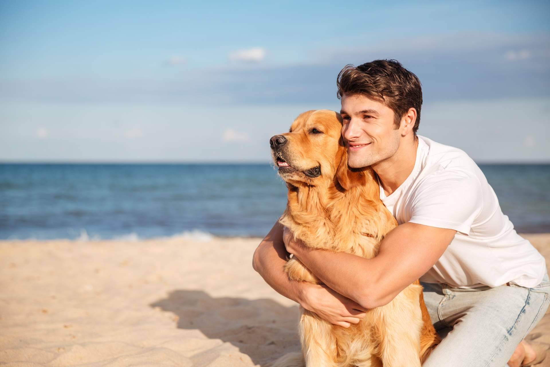 Adoptar perros en verano para evitar que las protectoras colapsen