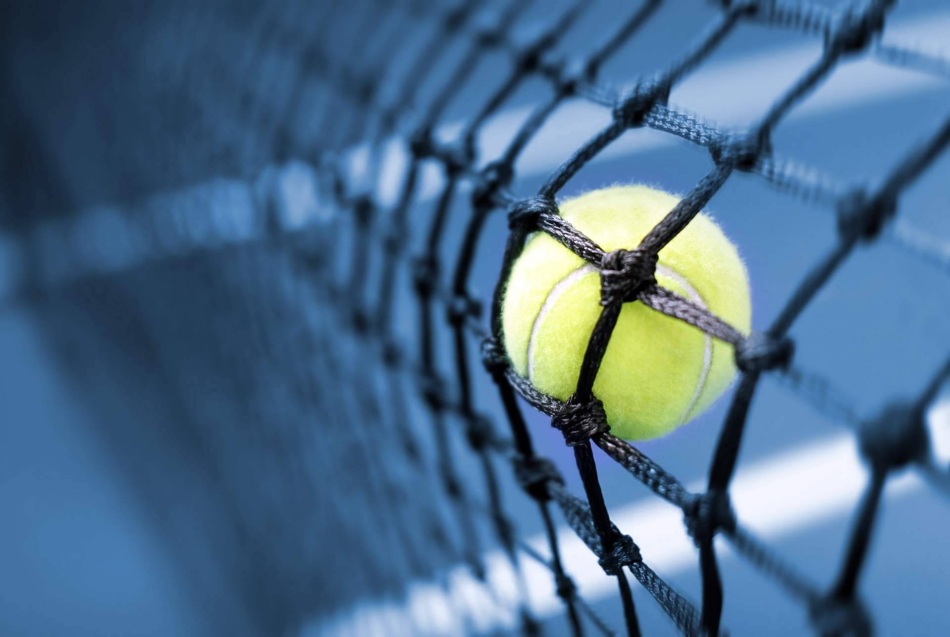 Los tipos de pelotas de tenis que ofrece SPORT AND TREND