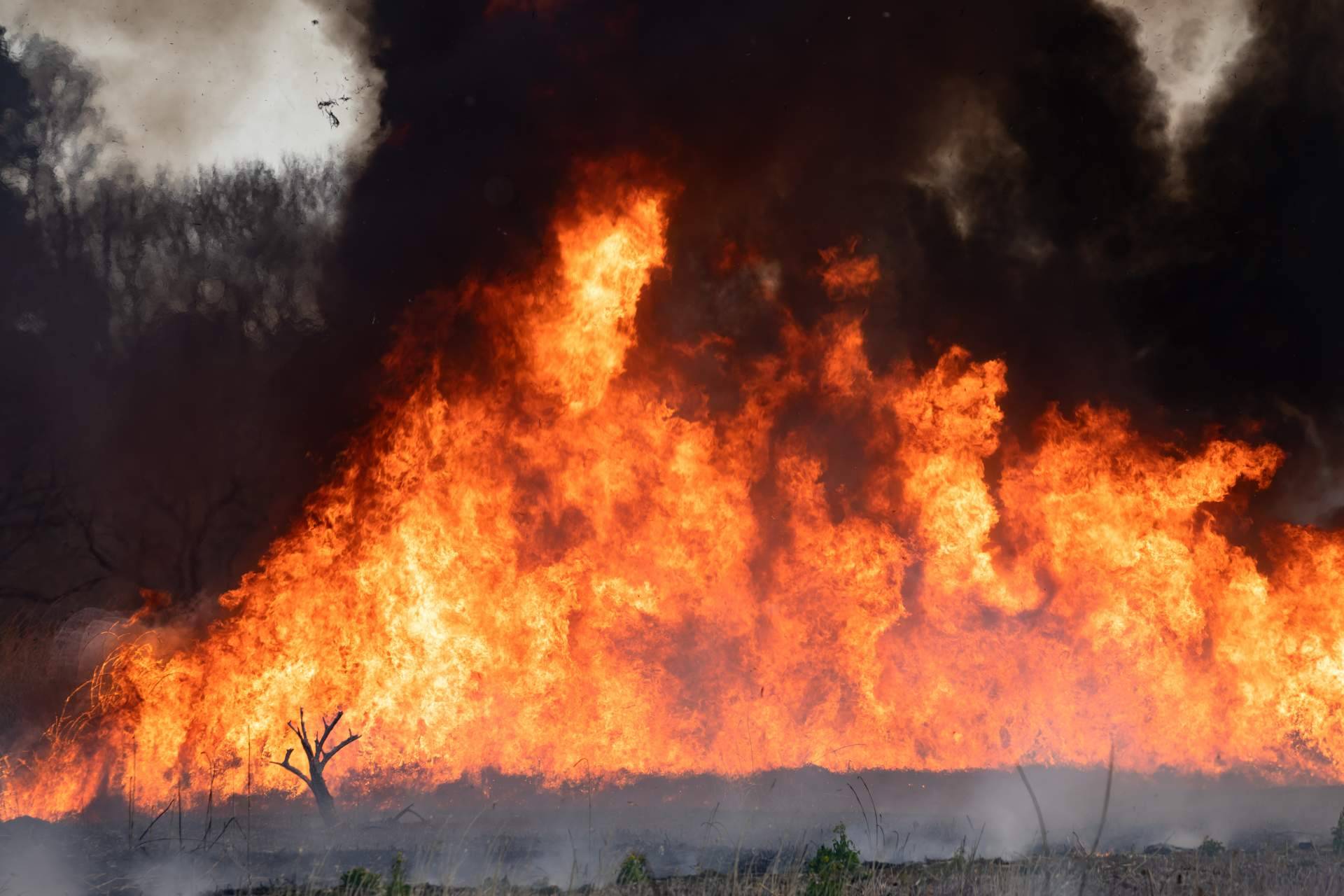 #SoydeMijas plantea soluciones para prevenir los incendios forestales en Mijas