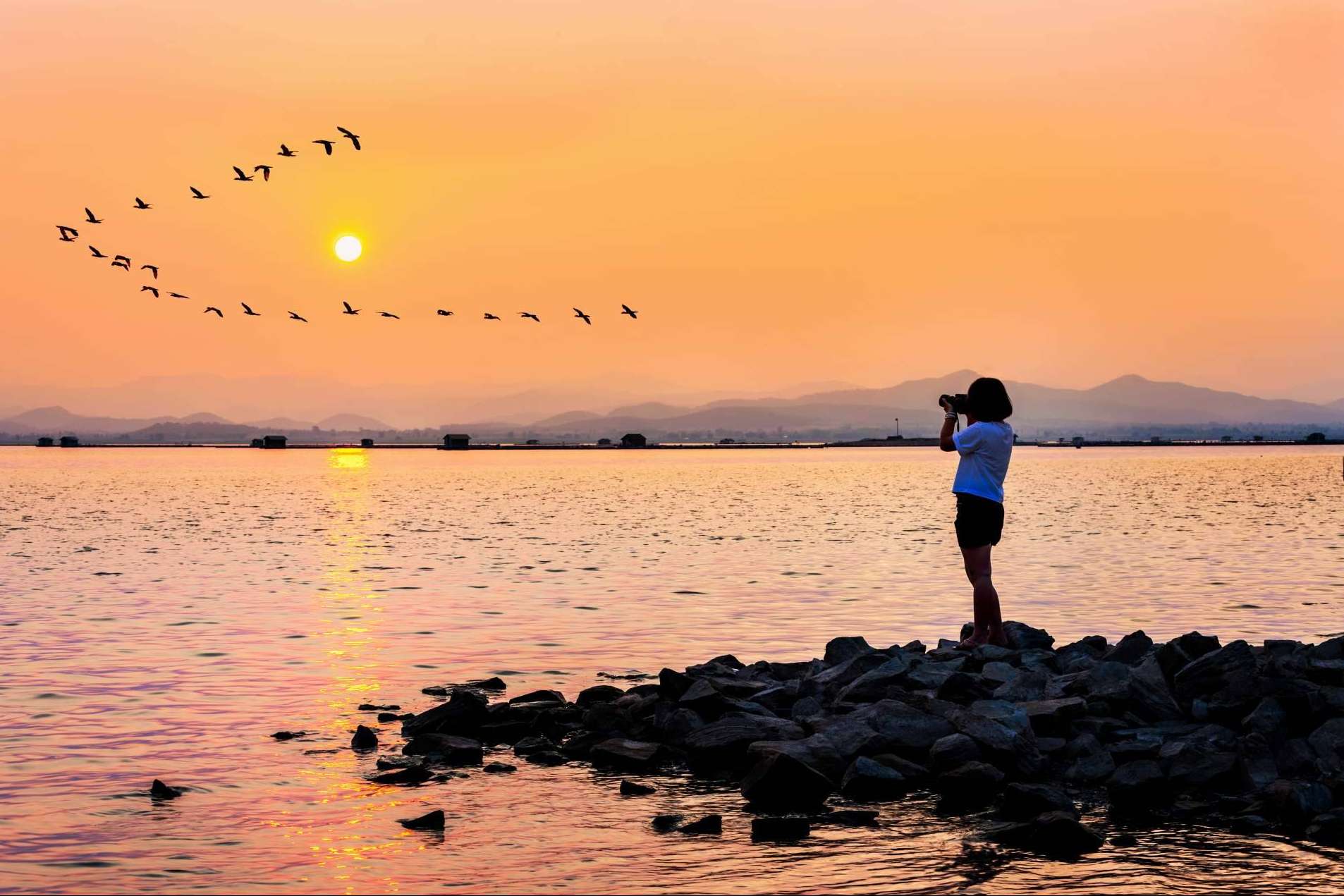 Descubrir la Albufera en paseos en barca con Albumar