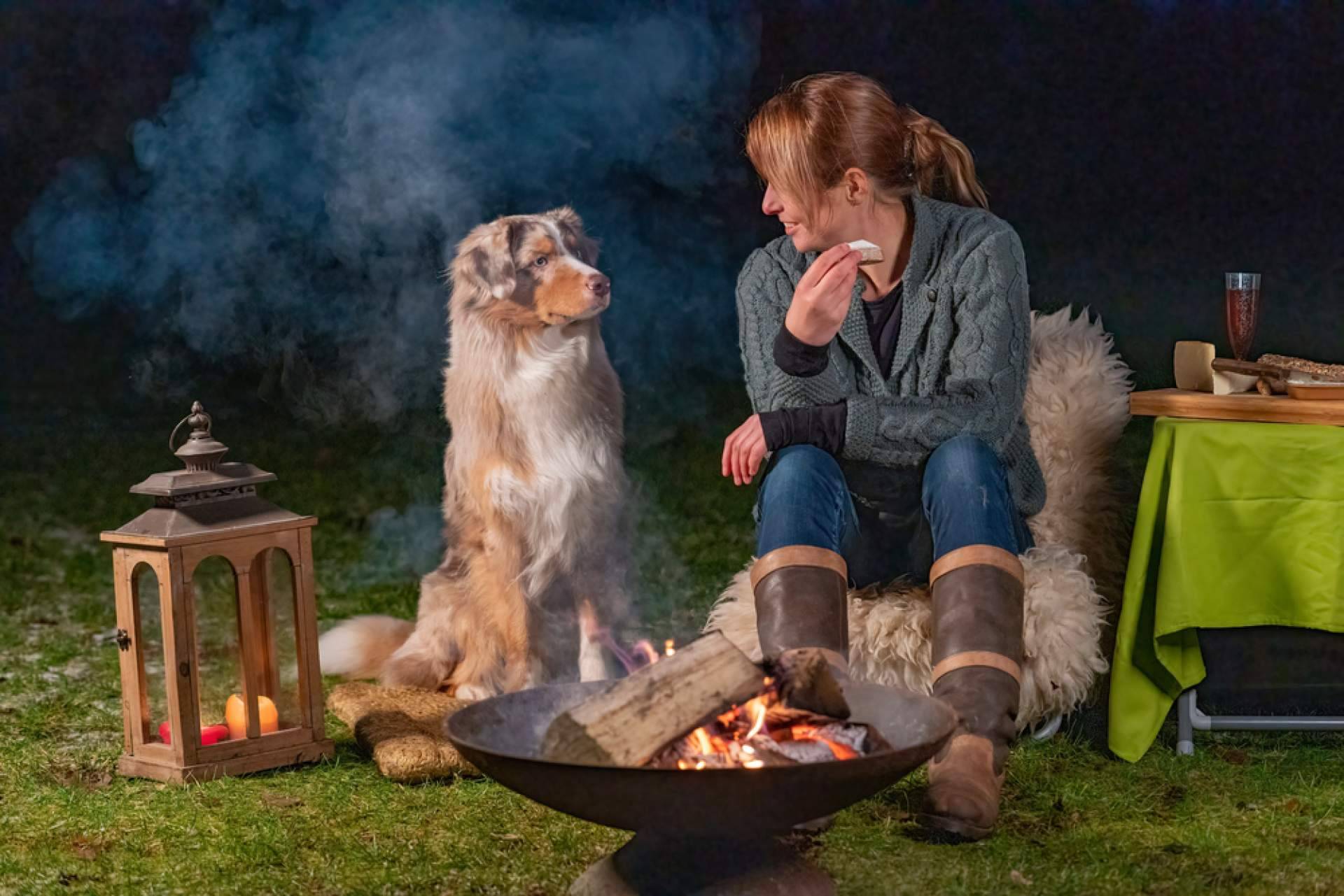 Diferencias entre comprar y adoptar perros, de la mano de Cachorros del Valle