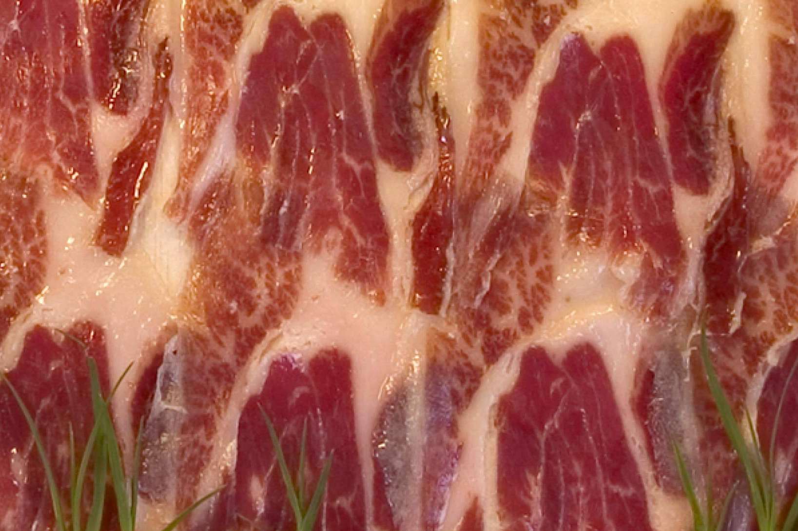 Cerdo ibérico de cebo de campo, ¿qué es exactamente?