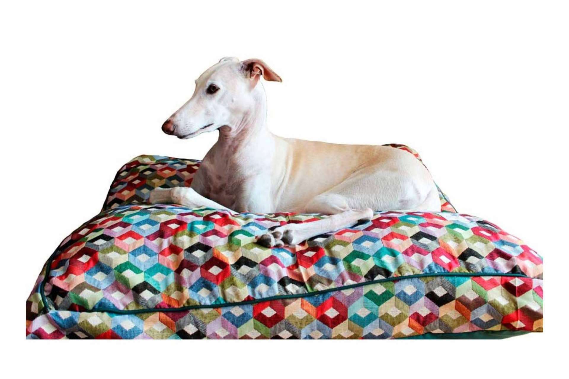 Lucas & Lola, la parafarmacia que dispone de accesorios exclusivos para mascotas