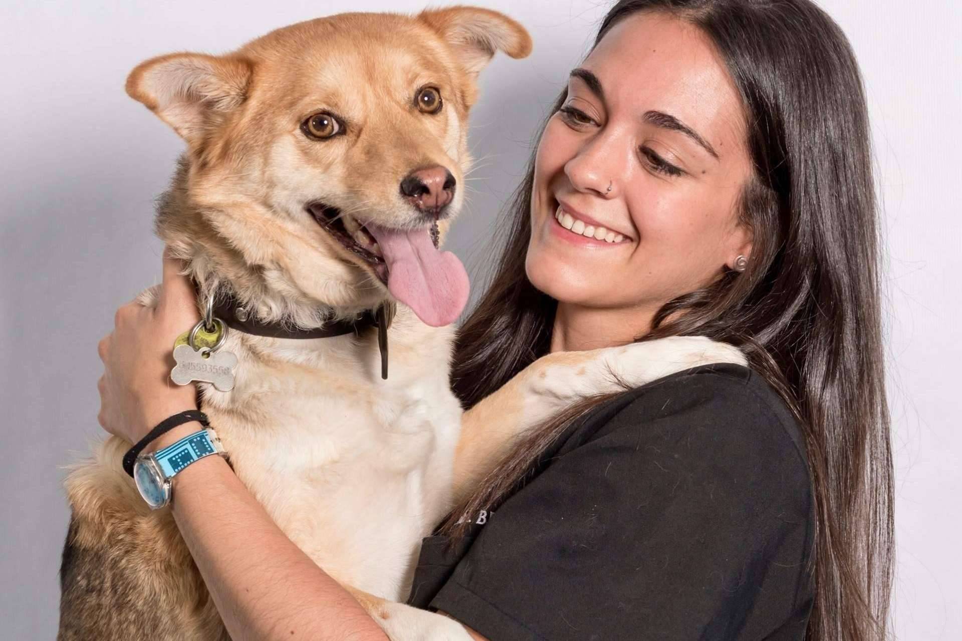 ¿Cómo actuar cuando un animal tiene un golpe de calor?, por el Hospital Veterinario El Bosque