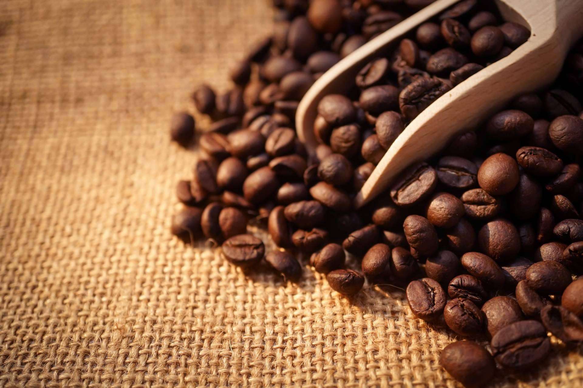 El nuevo café ecológico de alta intensidad de Orisens, Xtrong