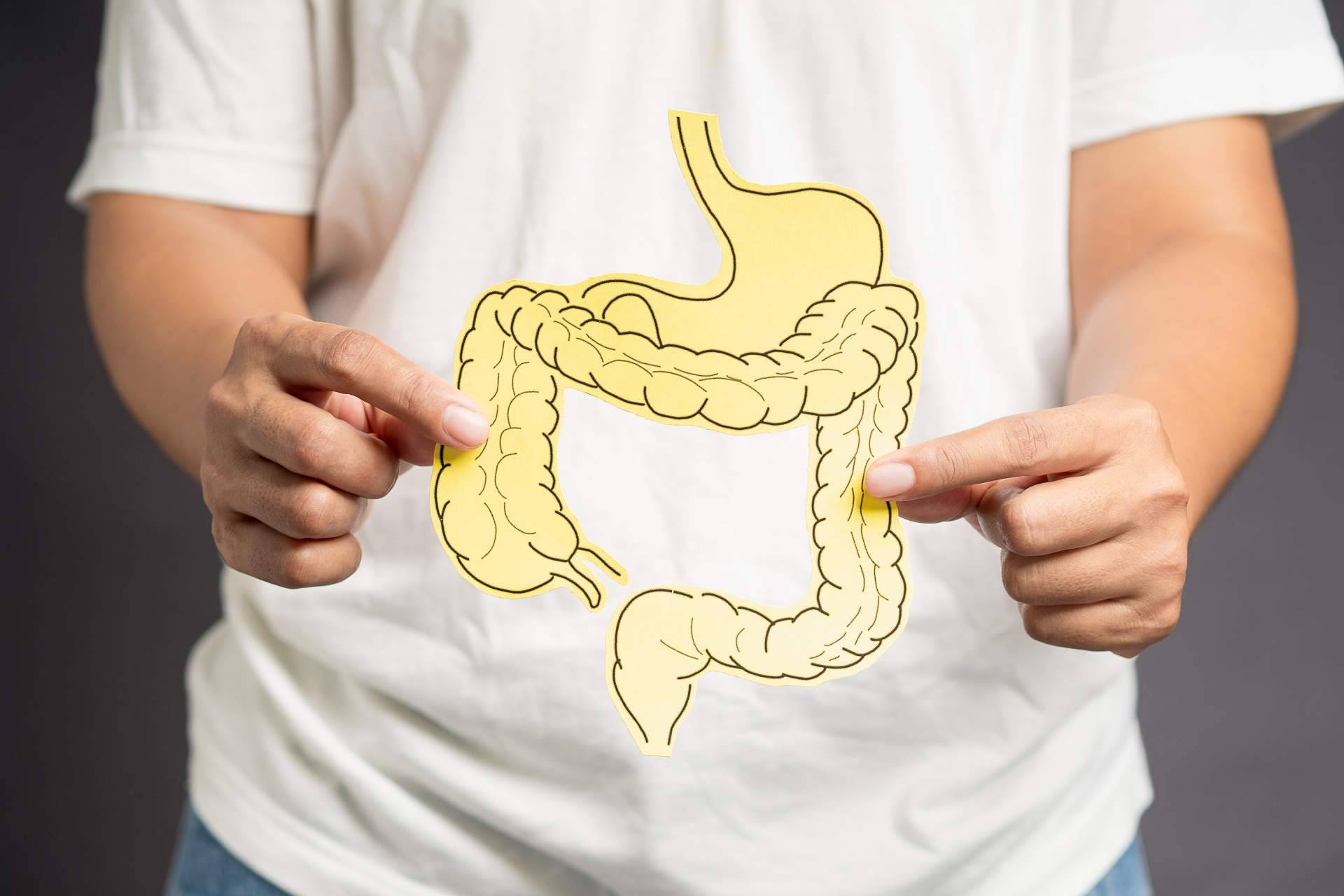 Clínica Umebir, rehabilitación intestinal para pacientes con disbiosis