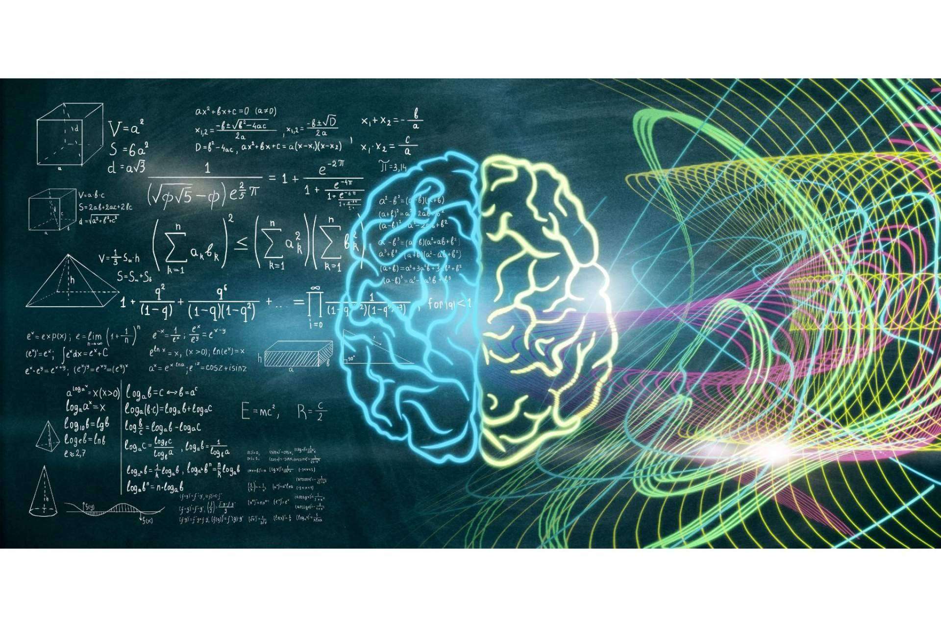 ¿Cómo activar los dos hemisferios con Reflexología Evolutiva?