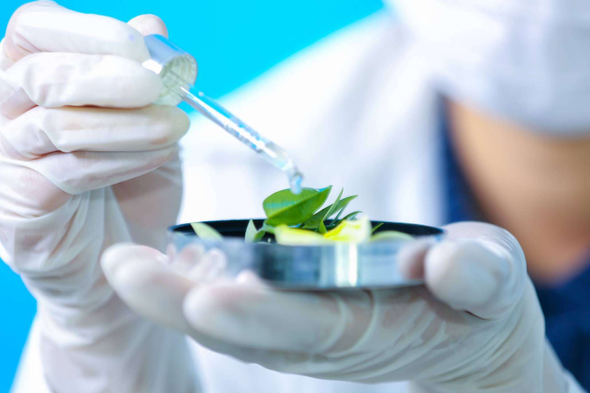 Masinmune ofrece soluciones para reforzar las defensas contra virus