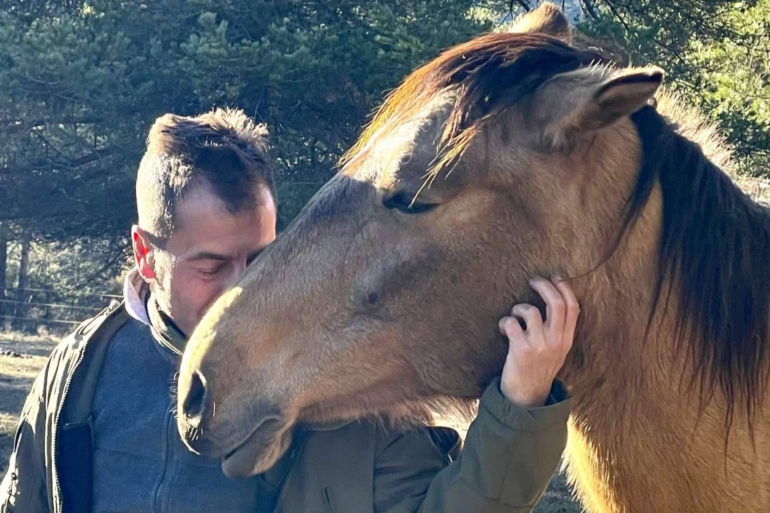 Los beneficios de los caballos libres para el desarrollo de la inteligencia emocional
