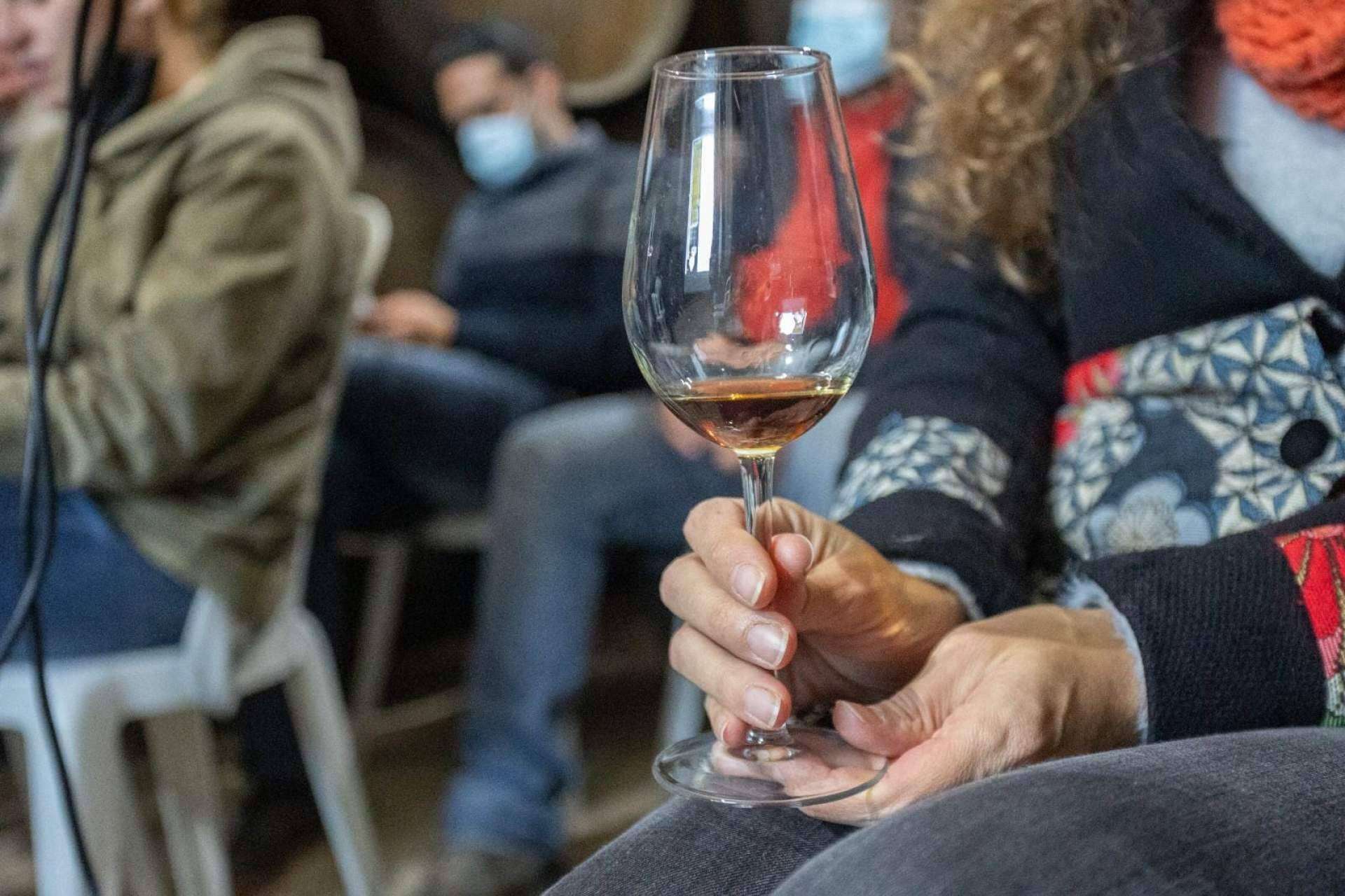 Bodegas Robles, todo un referente en la producción de vino ecológico en España