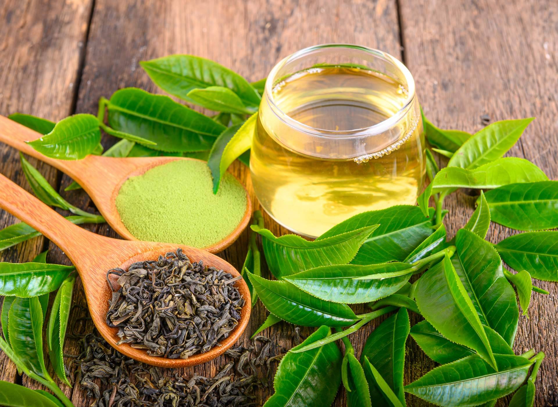 ¿Cuáles son las propiedades del té con ganoderma?, Reishi Gano Té DXN