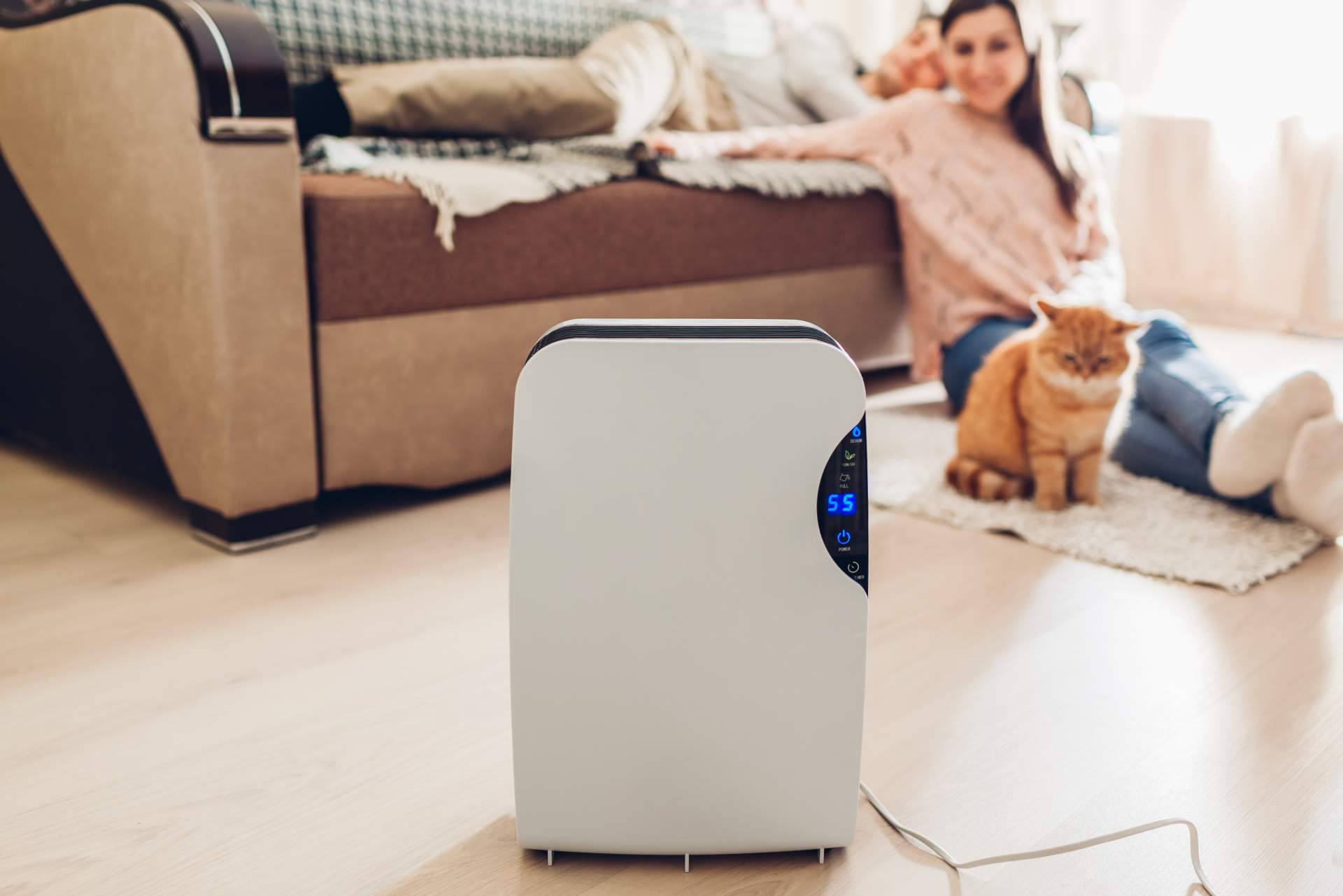 Analizar y comparar los mejores deshumidificadores del mercado con Hogar Climatizado, web de referencia en climatización para el hogar