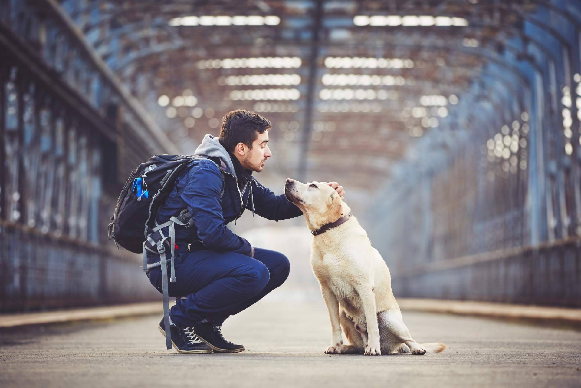 Tener un seguro de viaje para mascotas con Coverontrip