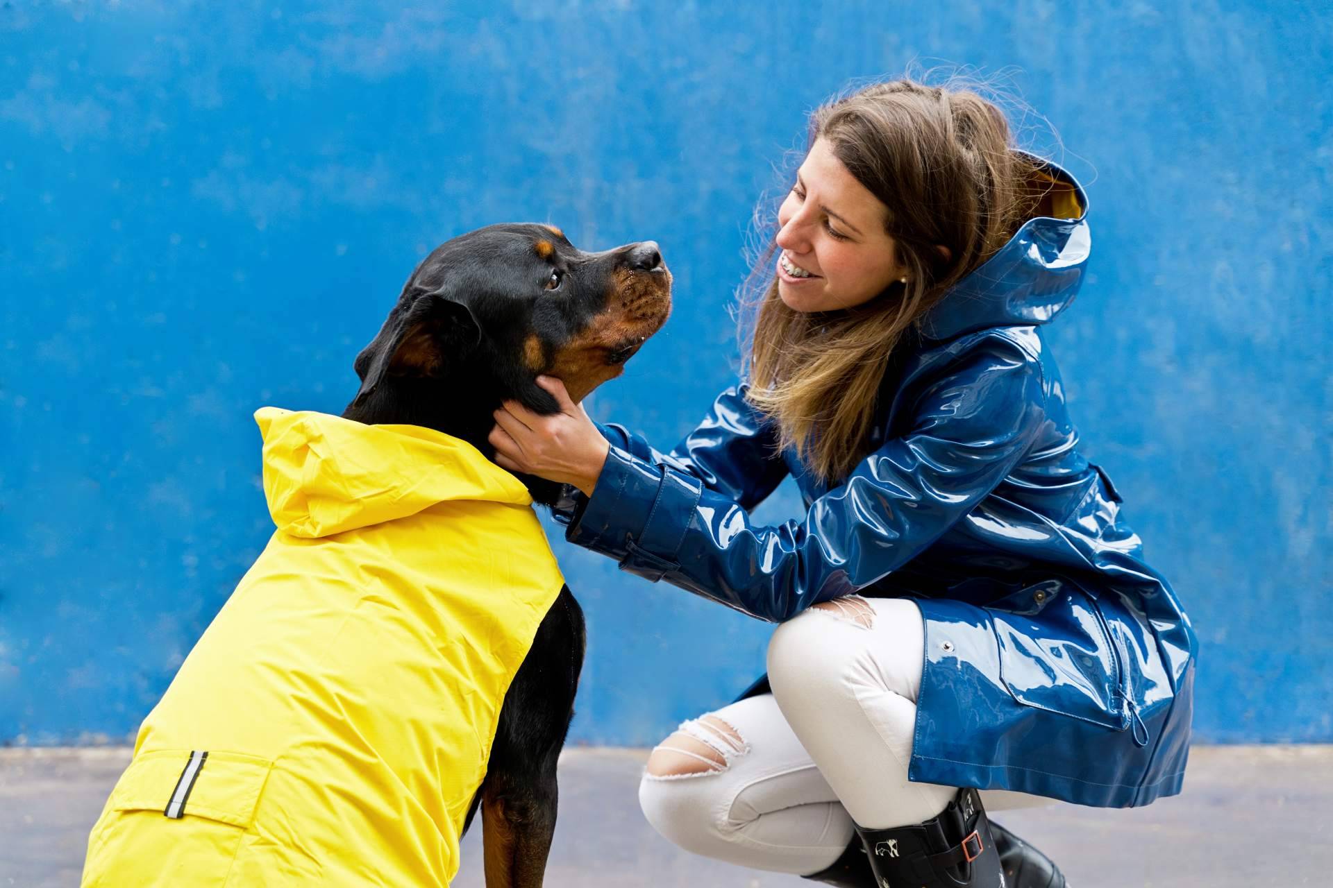 El certificado psicotécnico para tener animales peligrosos en Madrid, por Centro Médico Attendit