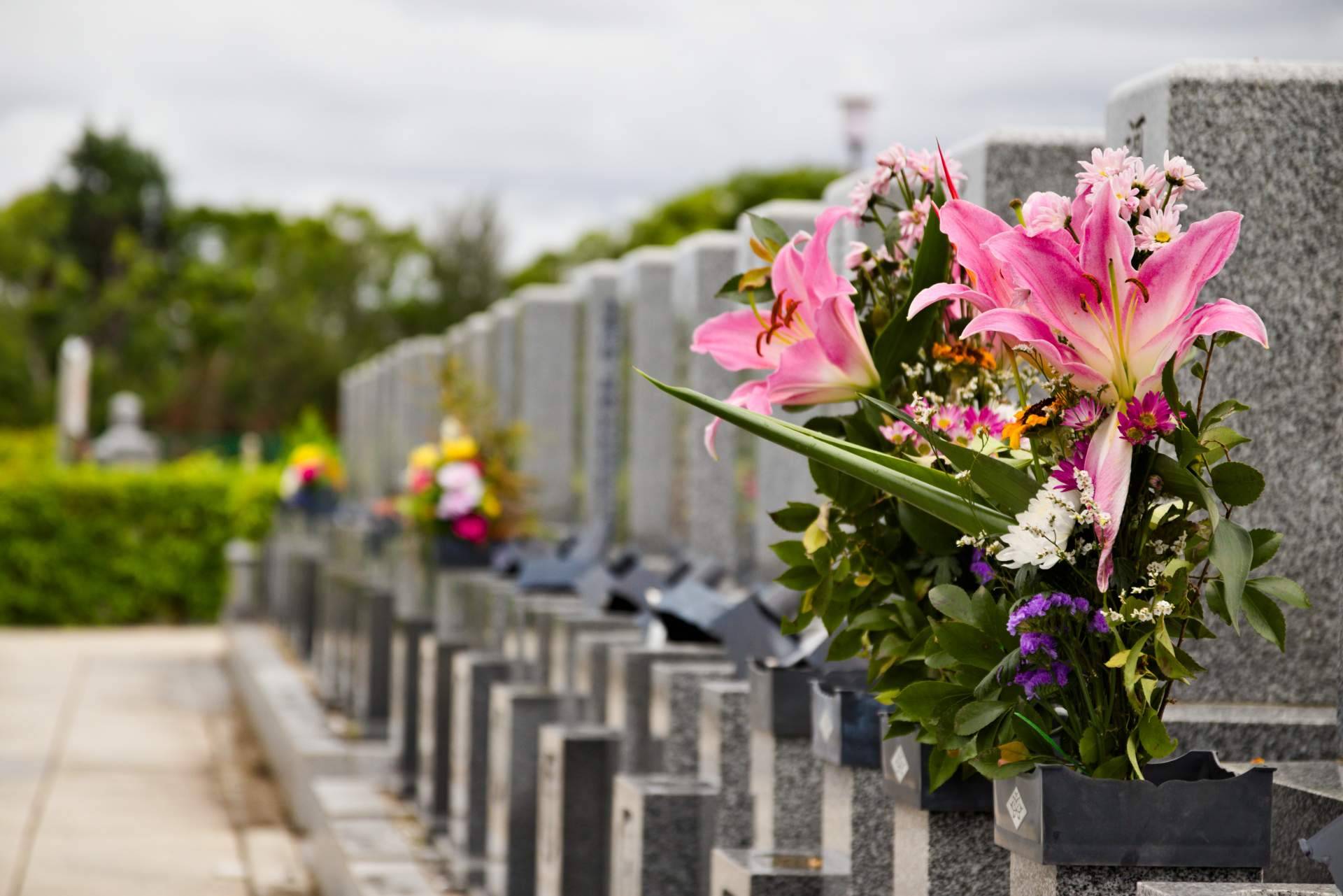 Durante el Día de Todos los Santos crece el interés por las flores para el cementerio en un 800 %