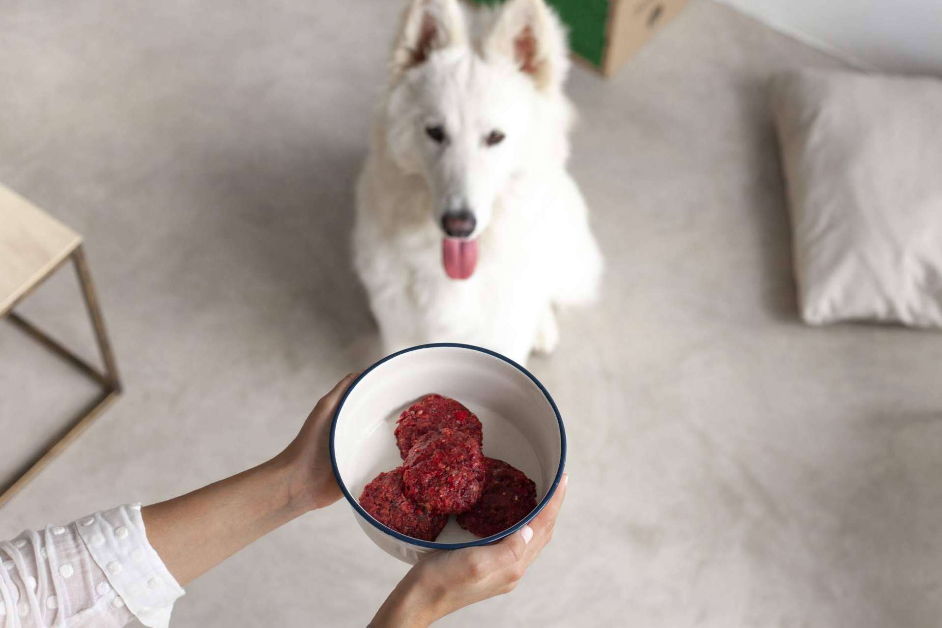 Wild Balance apuesta por la alimentación natural para mascotas y aterriza en Dubái