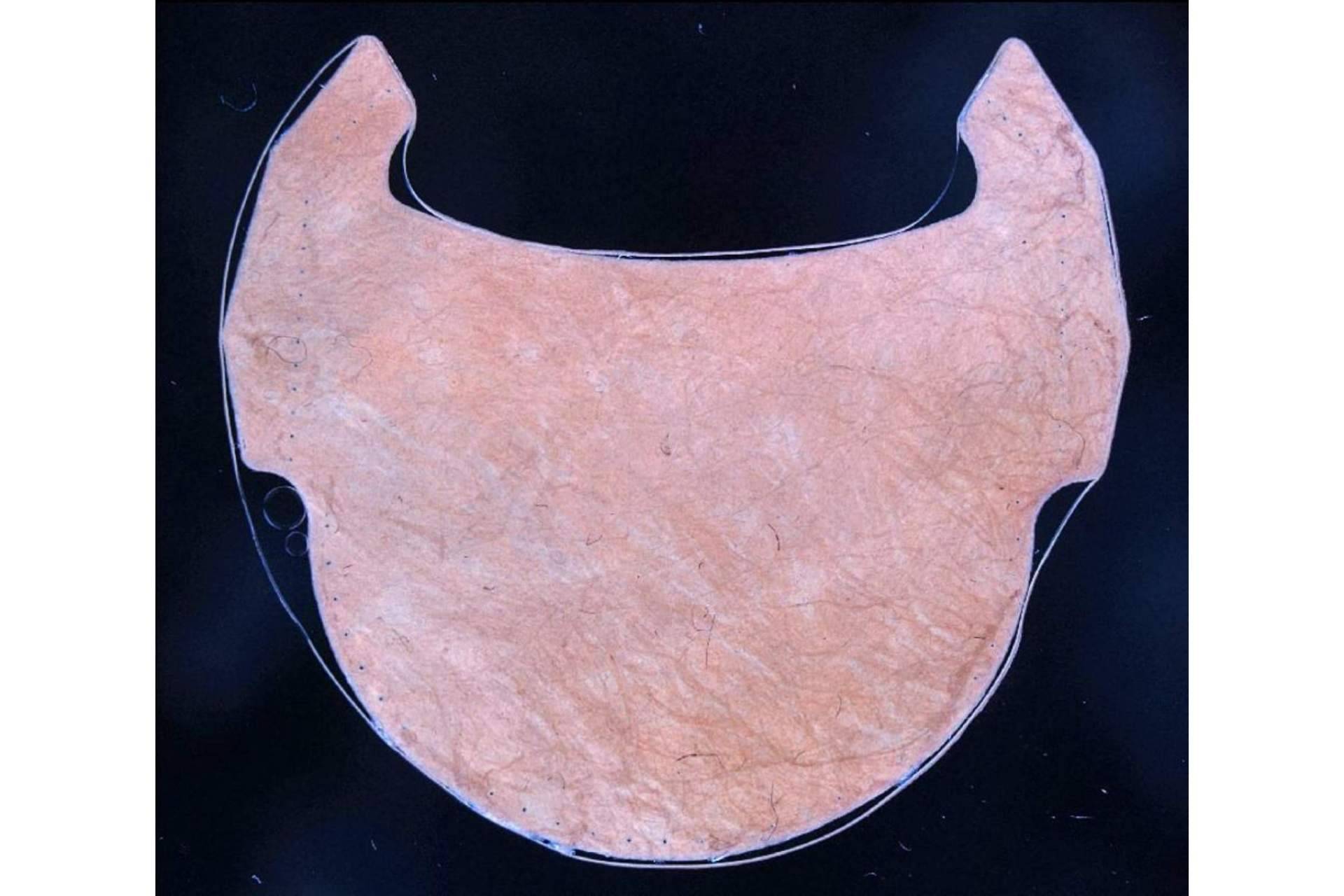 Mucho más eficaces y duraderas, las válvulas coronarias fabricadas con tejido de corazón animal
