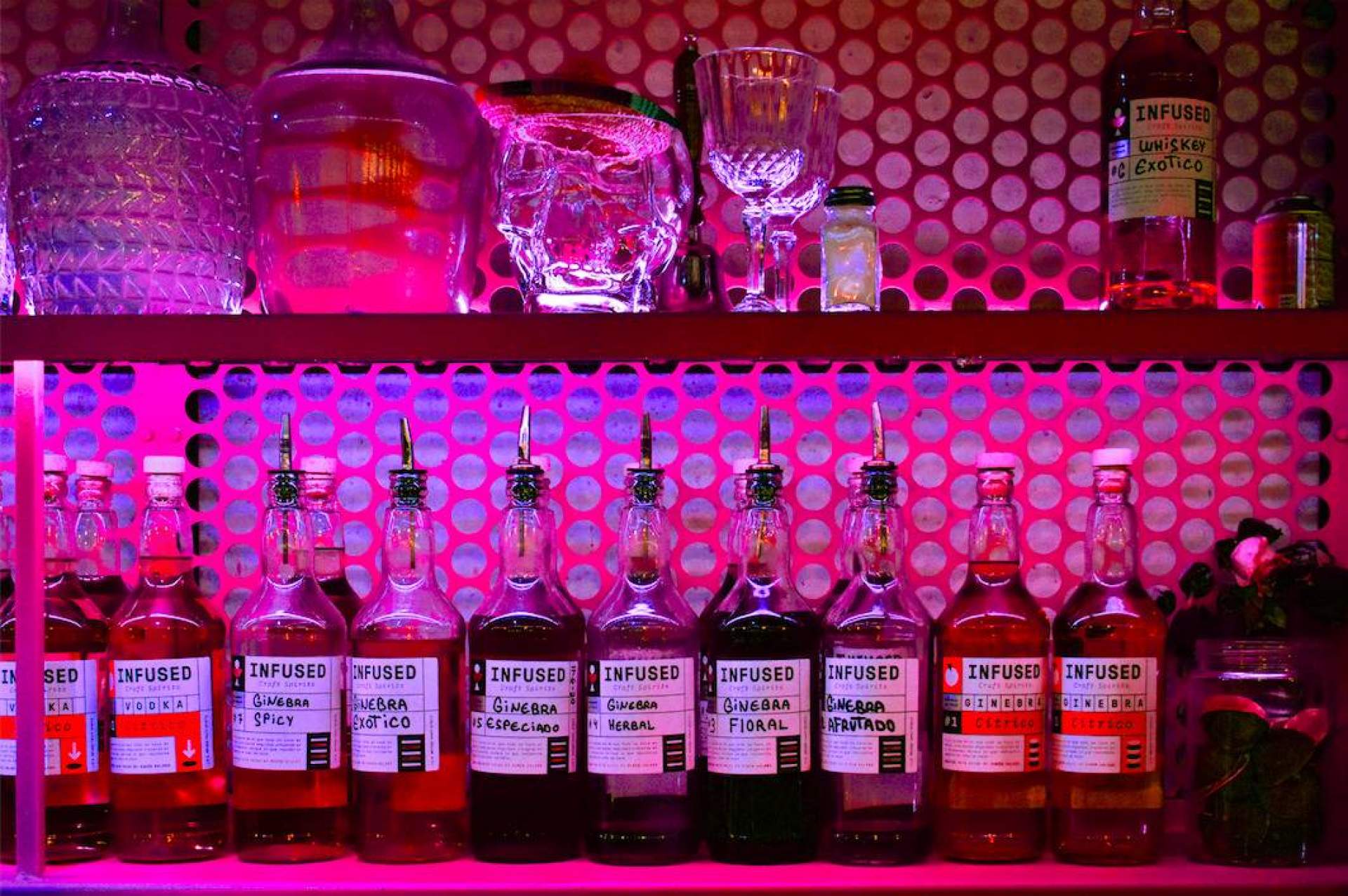 Party Area, una de las mejores plataformas para disfrutar de la vida nocturna