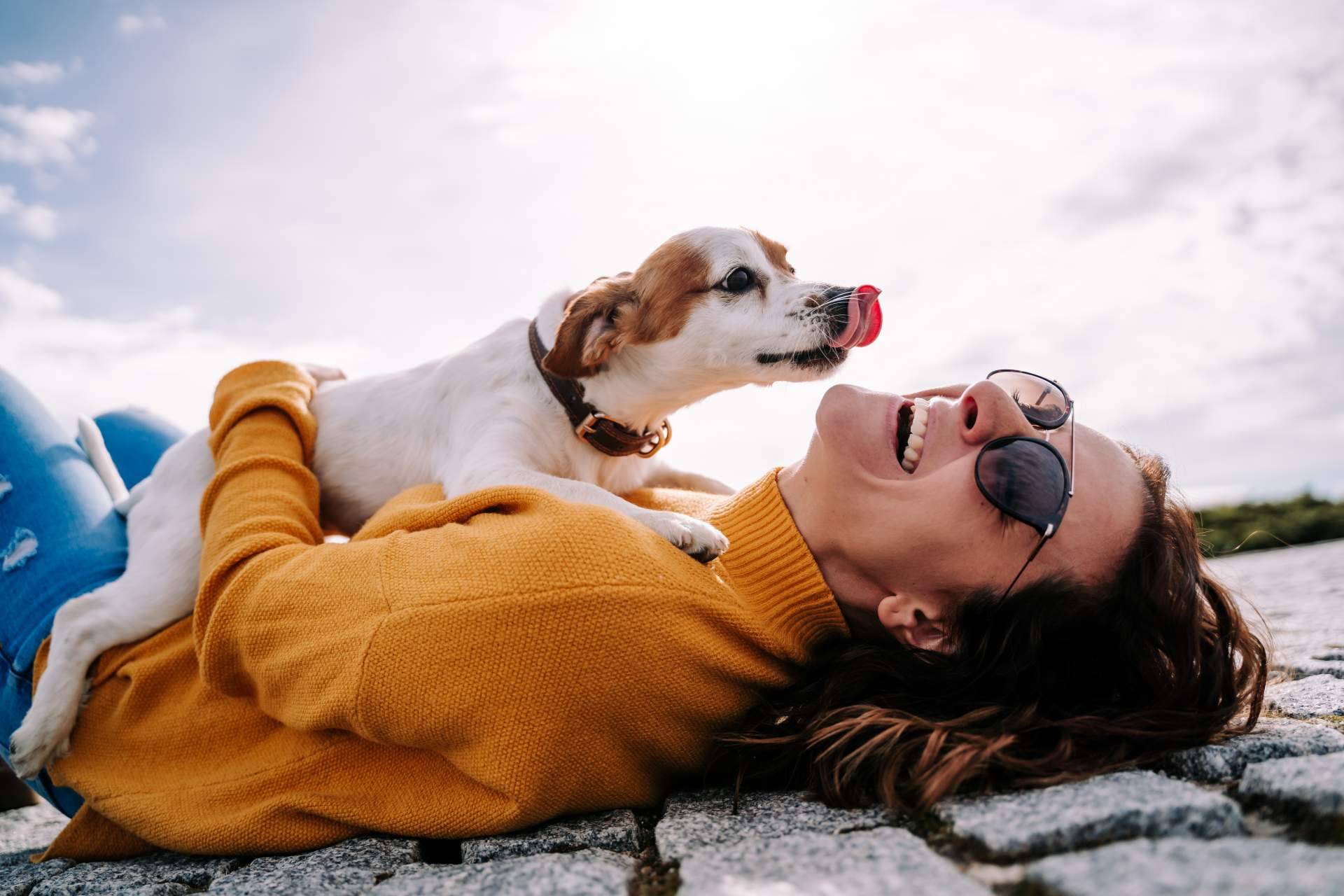 Mooiza Zen, ansiedad en perros y problemas de comportamiento