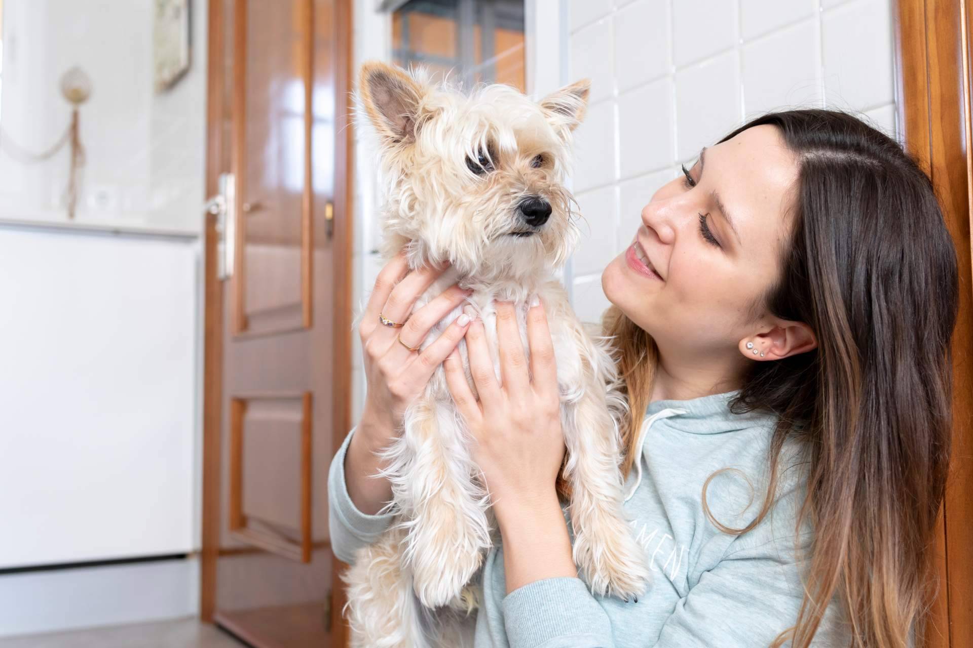 Mooiza Flex, cuidado de articulaciones en perros mayores