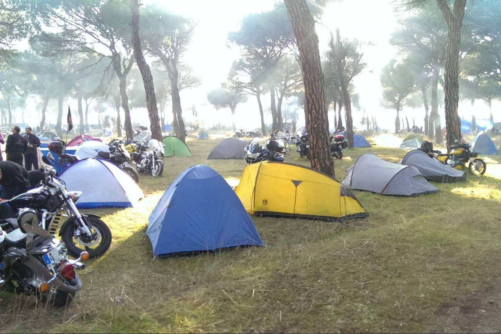 RapidMotos, colaborador de Pingüinos 2023