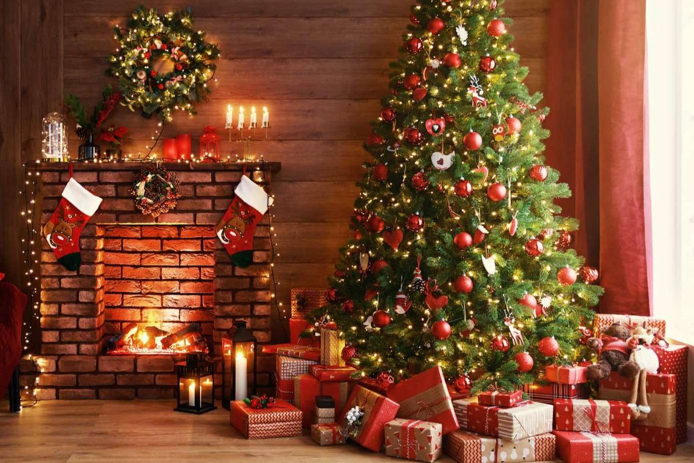 Editorial Entre Libros presenta los libros más destacados del género juvenil en Navidad