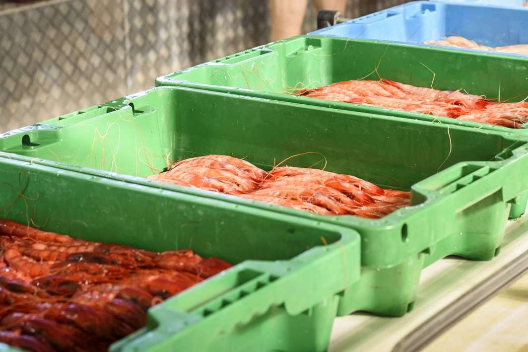 Los consejos de conservación de marisco de Huelva, por Lonja de Ayamonte
