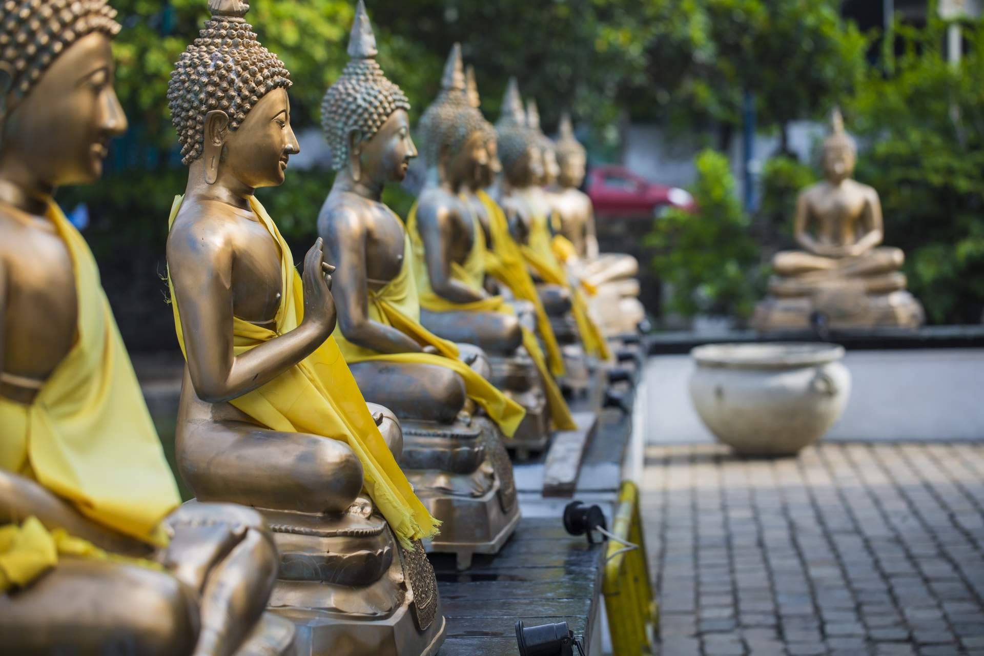 La agencia de viajes local en Sri Lanka que organiza viajes a medida para los turistas que desean visitar la isla, Sri Lanka Viajes Edén