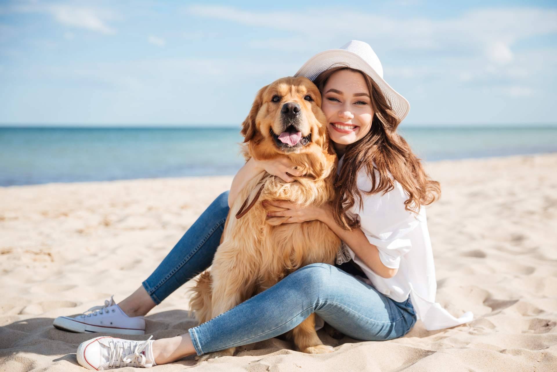 Wolves Legacy y la legendaria fórmula que los perros devoran, piensos para perros