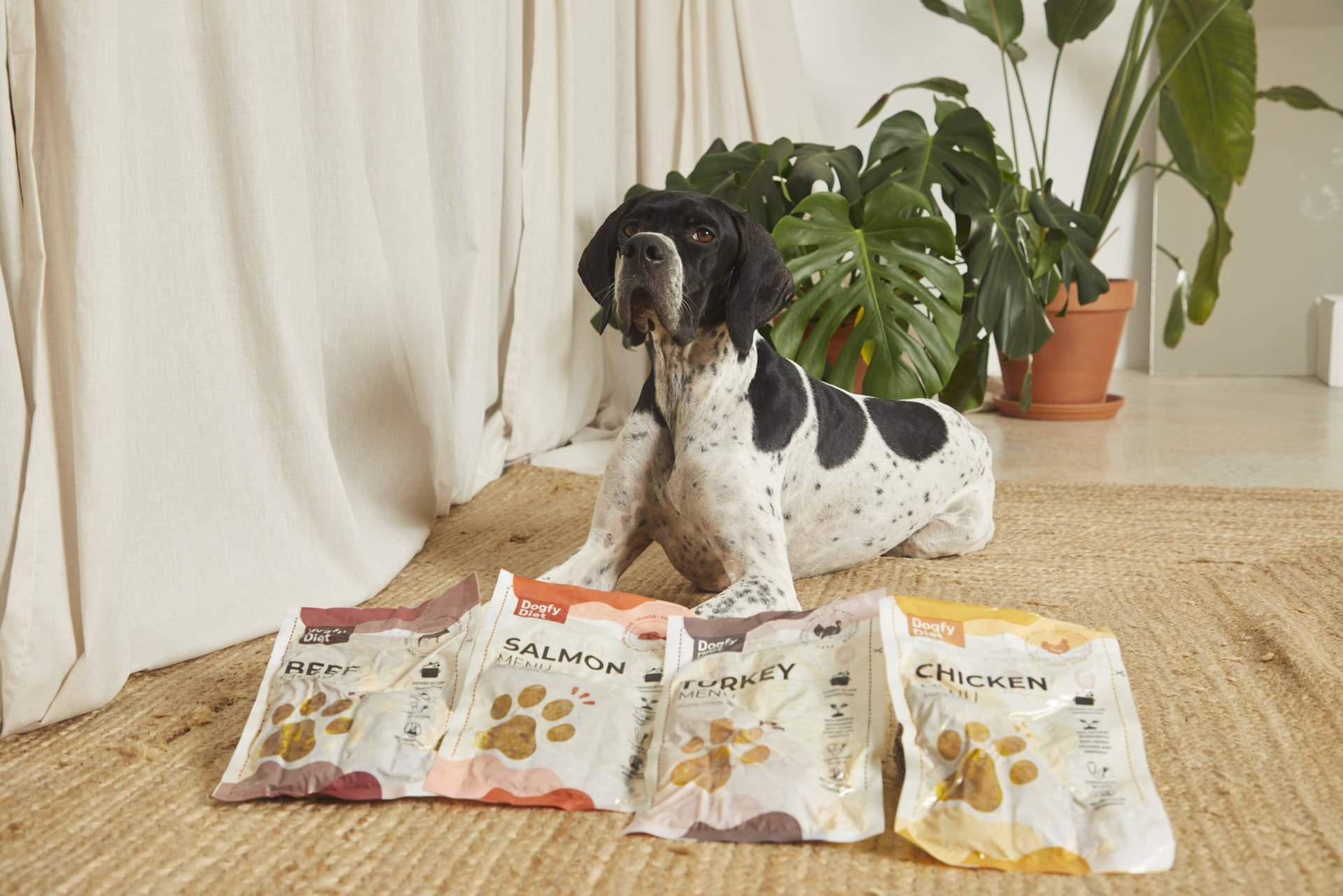 Beneficios de la comida natural para perros