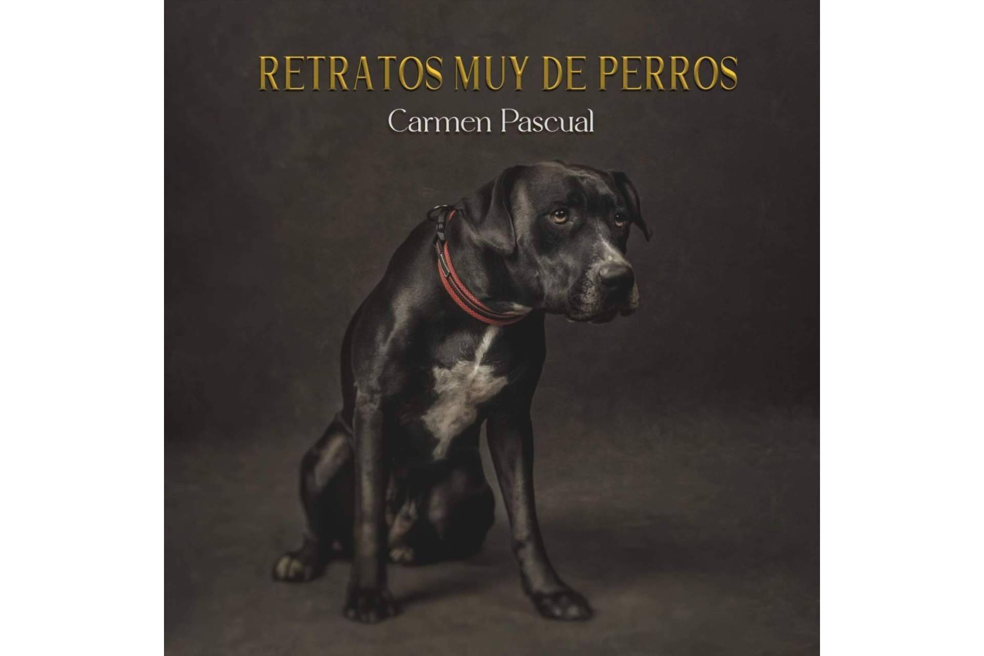 'Retratos muy de perros', la obra de Carmen Pascual editada por Libros y Literatura