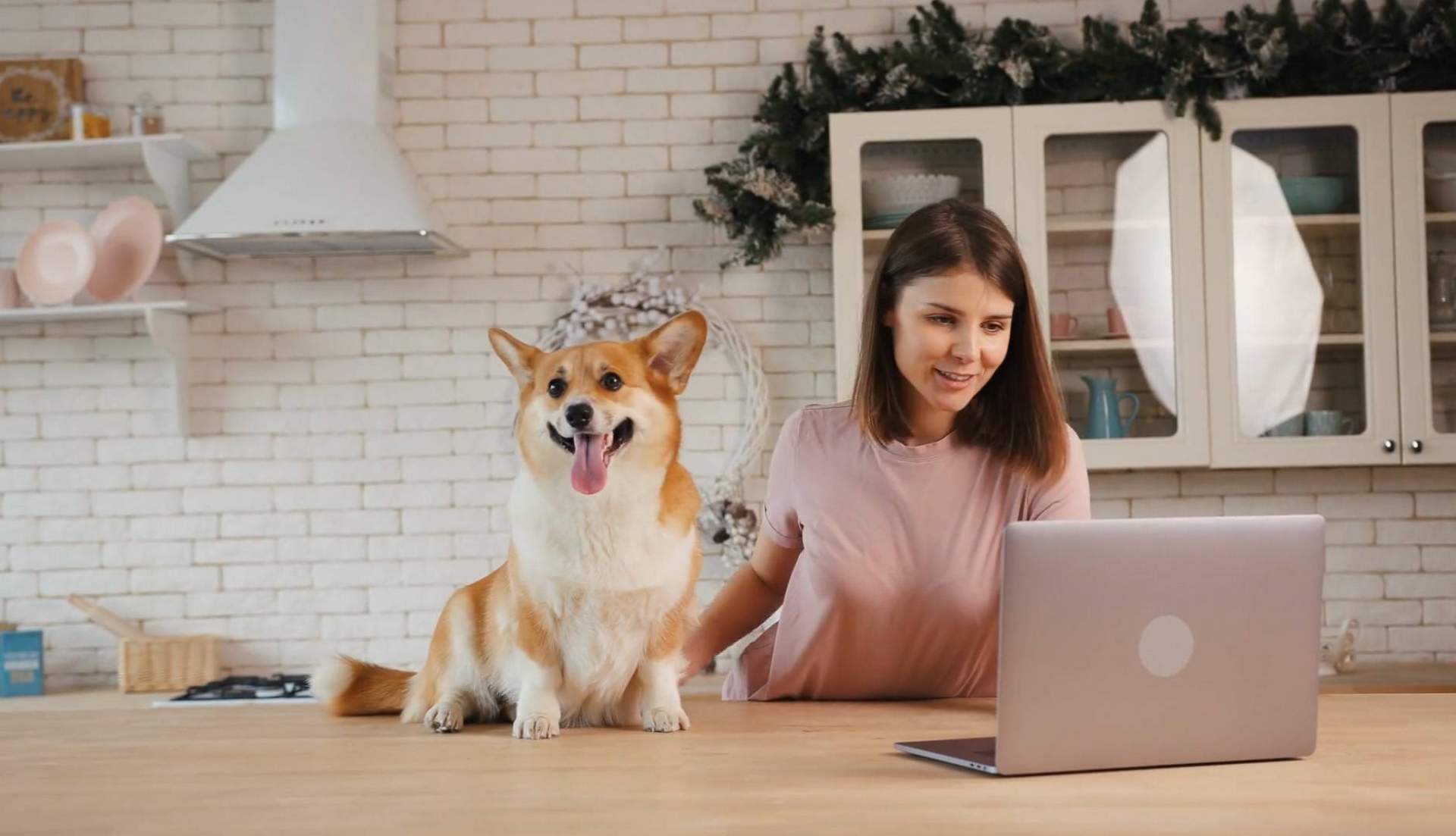'Buscamos una agencia de marketing completa y con experiencia, y la encontramos', asegura Wolves Legacy