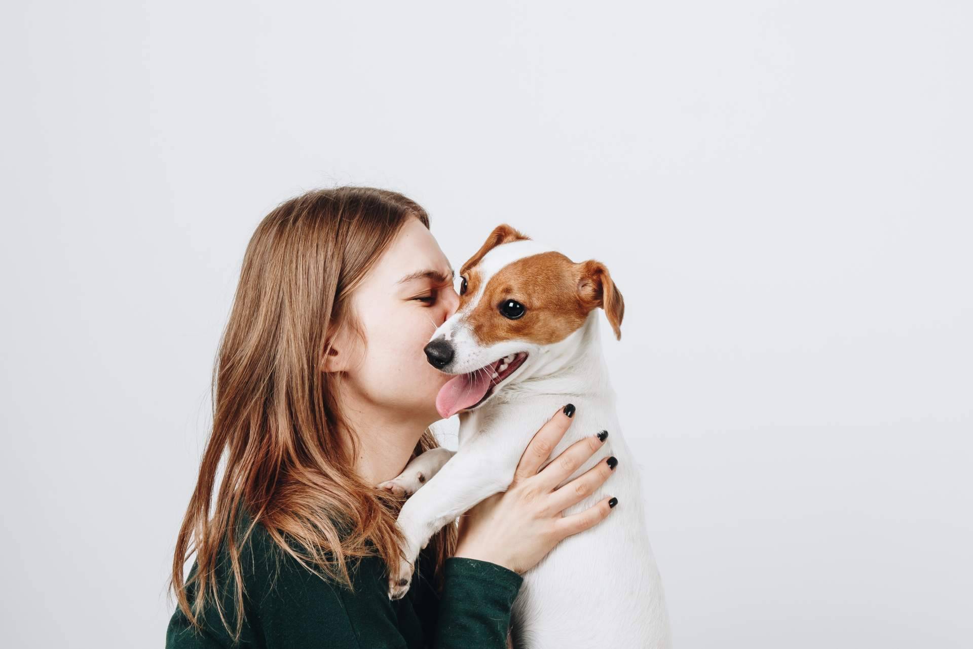 Aboganimal y su servicio de mediación animal en los procesos de familia