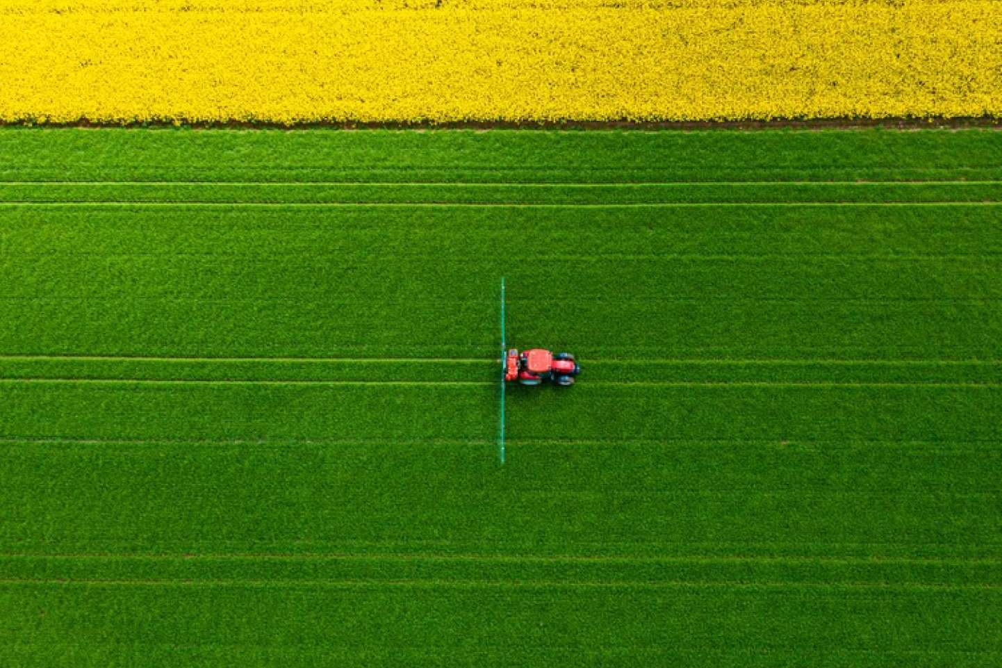 Escoger el seguro de tractor adecuado según cada necesidad, gracias a Grupo Seguros Generales