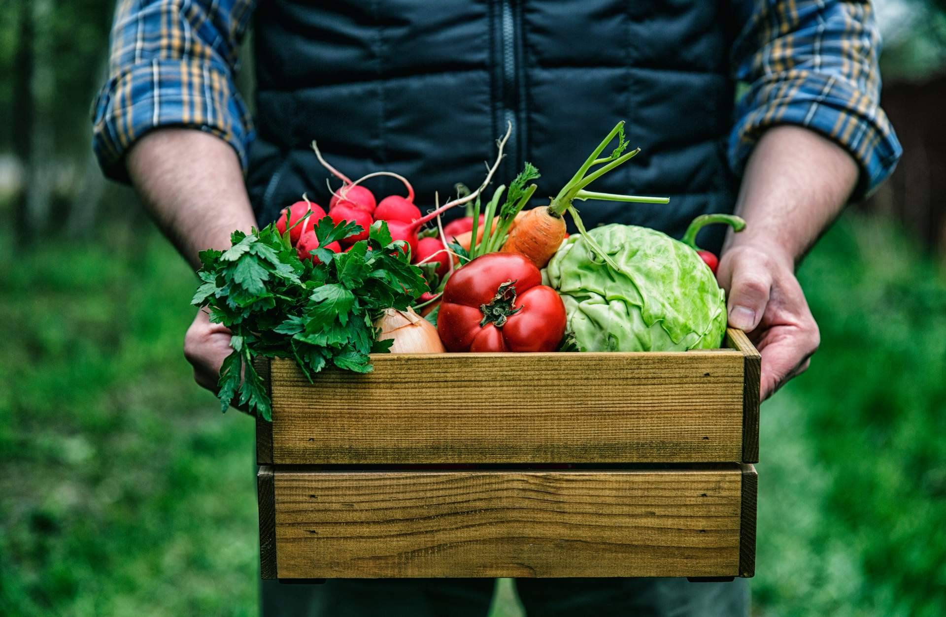 La necesidad de apostar por la alimentación ecológica crece