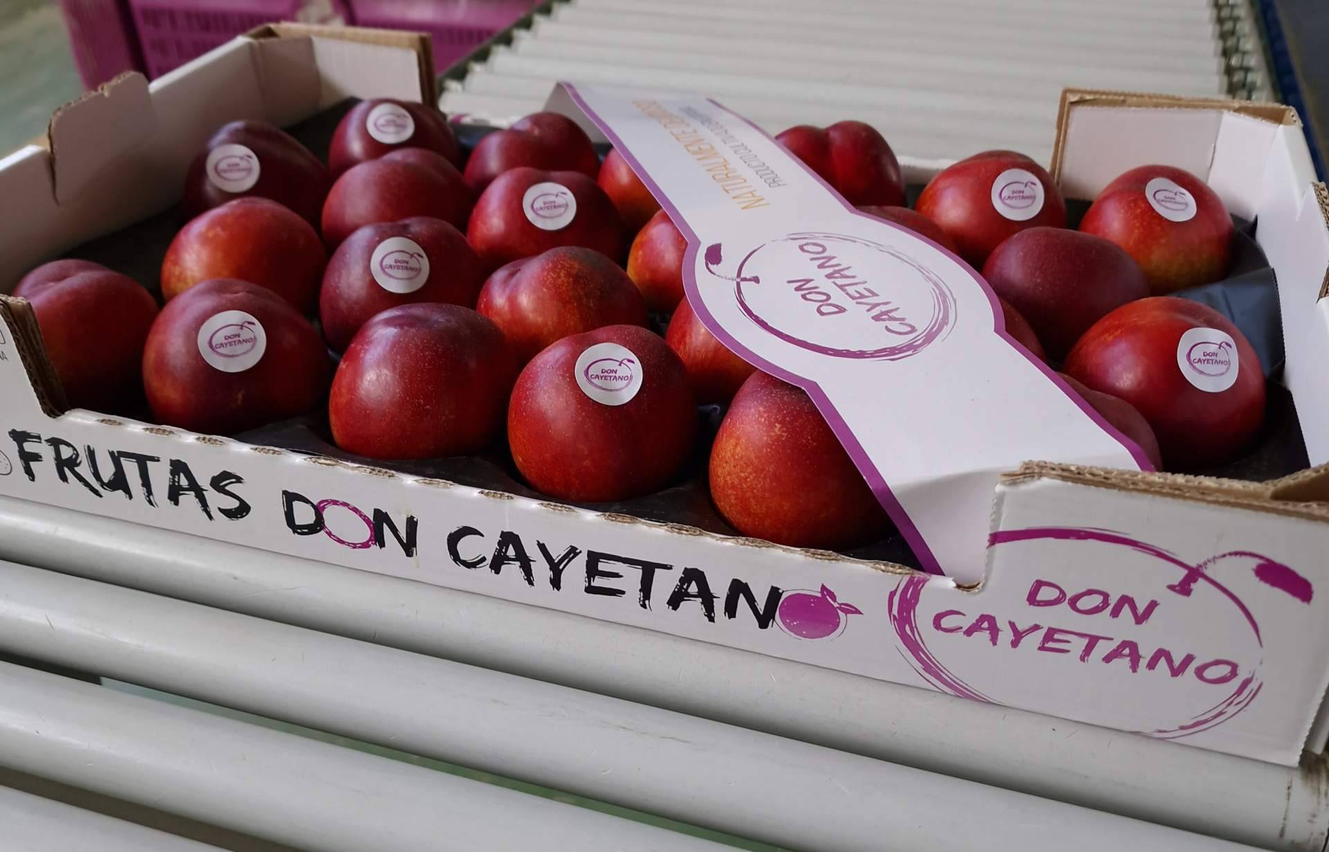 Frutas Don Cayetano, una empresa española que continúa su expansión