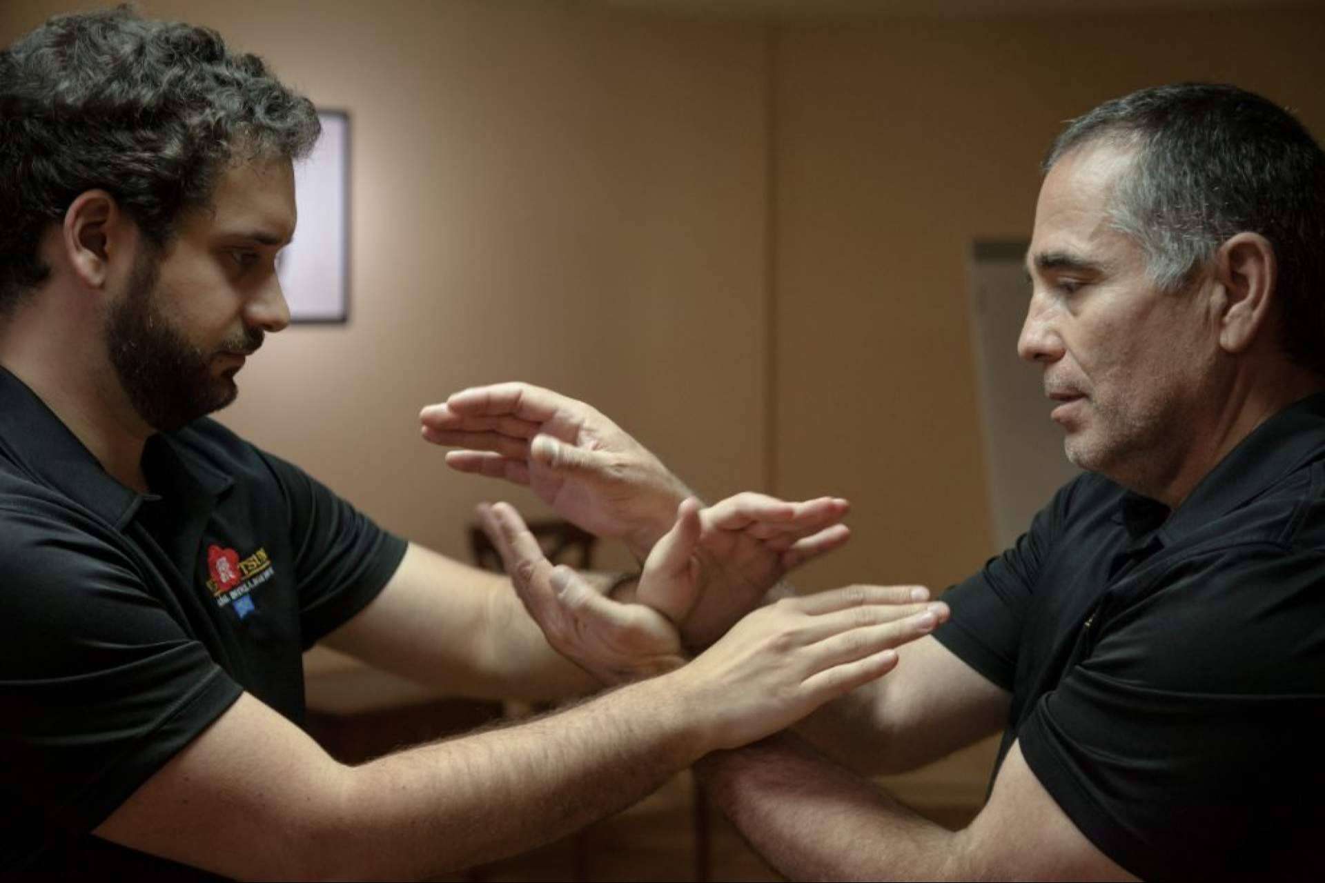 Cuáles son los tipos de clases que se imparten en Moy Yat Ving Tsun