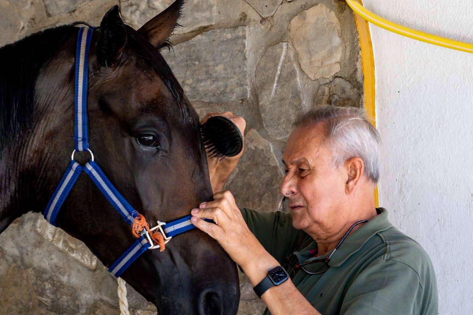 El centro donde cuidar de la salud tanto de jinetes como de caballos, Yeguada Encinasola