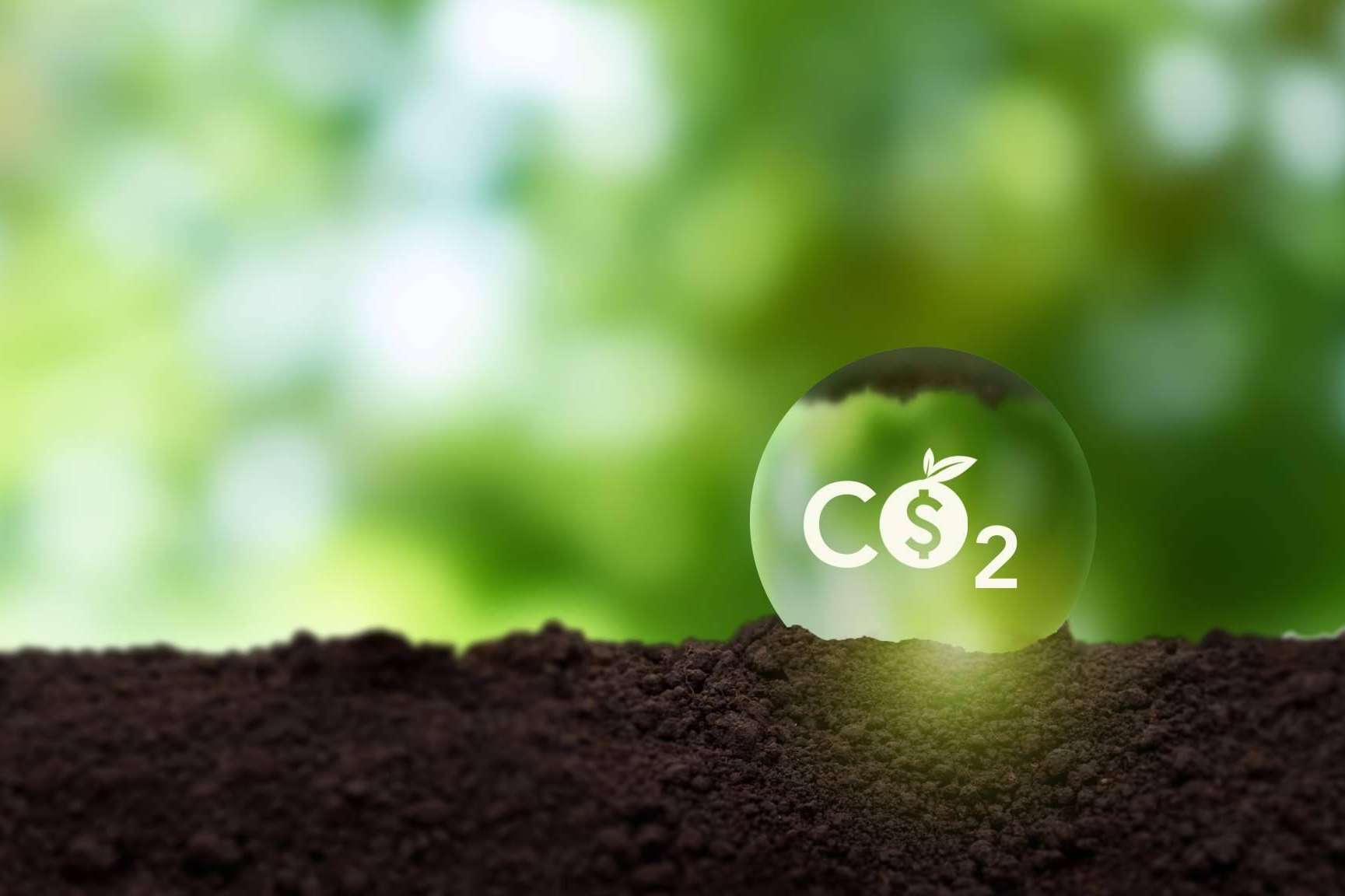 Adquirir bonos de carbono en el marketplace ClimateTrade