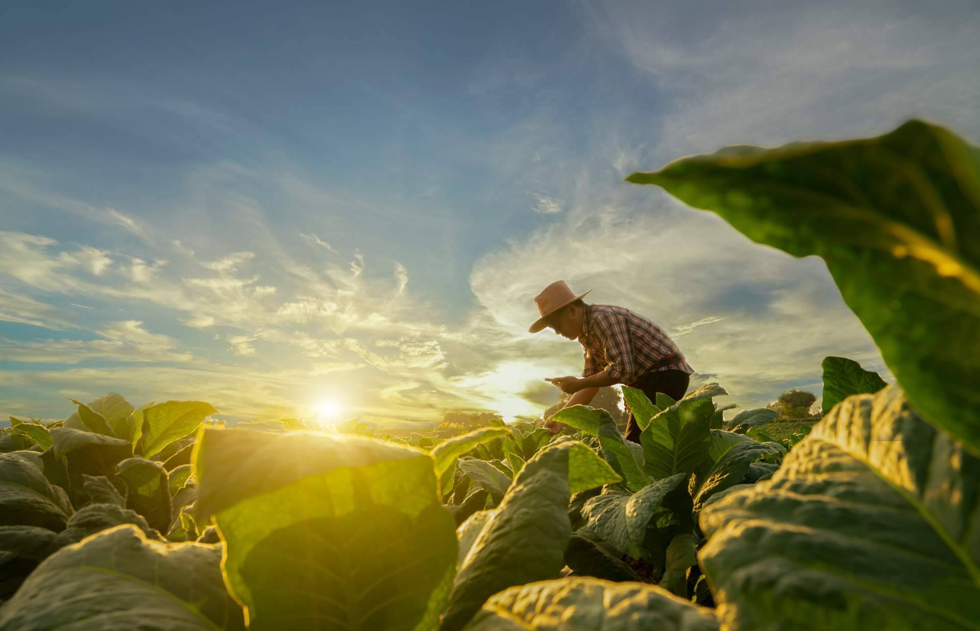 Conocer las nuevas formas de producción sostenible y respetuosa con el medioambiente y los animales