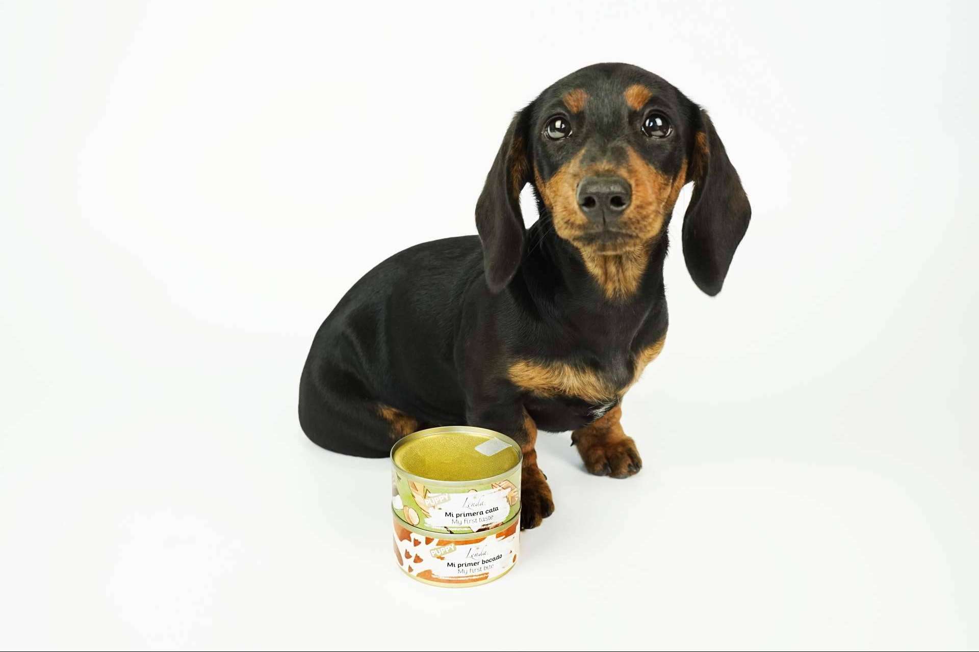 Lenda Foodie ofrece comida de calidad y variedad para perros