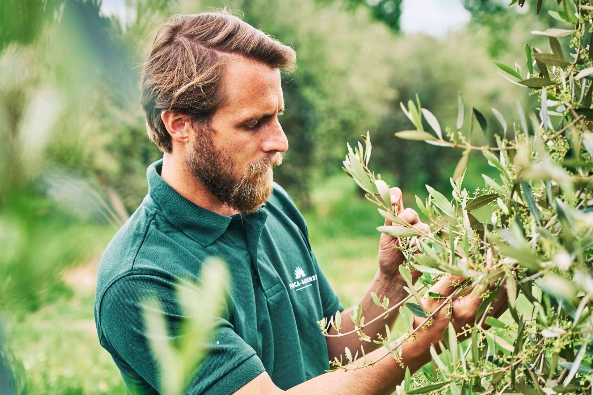 Un Virgen Extra de Edición Limitada, el Finca Badenes de Primer Día de Cosecha de la empresa Aires de Jaén AOVE