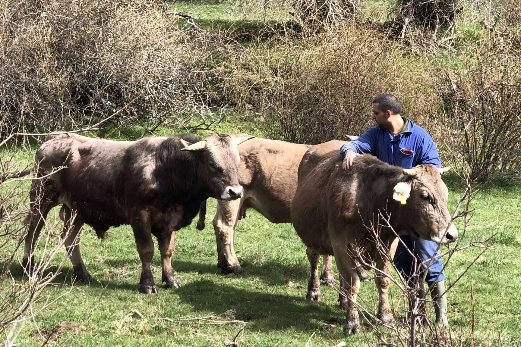 Tu Ternera en Casa explica cuáles son los productos km 0 que ofrece y las ventajas de consumirlos